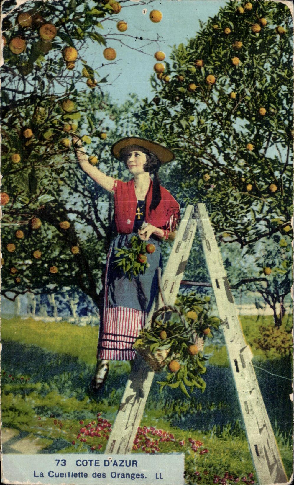 CPA Cote D Azur La Cueillette des Oranges Folklore Costume