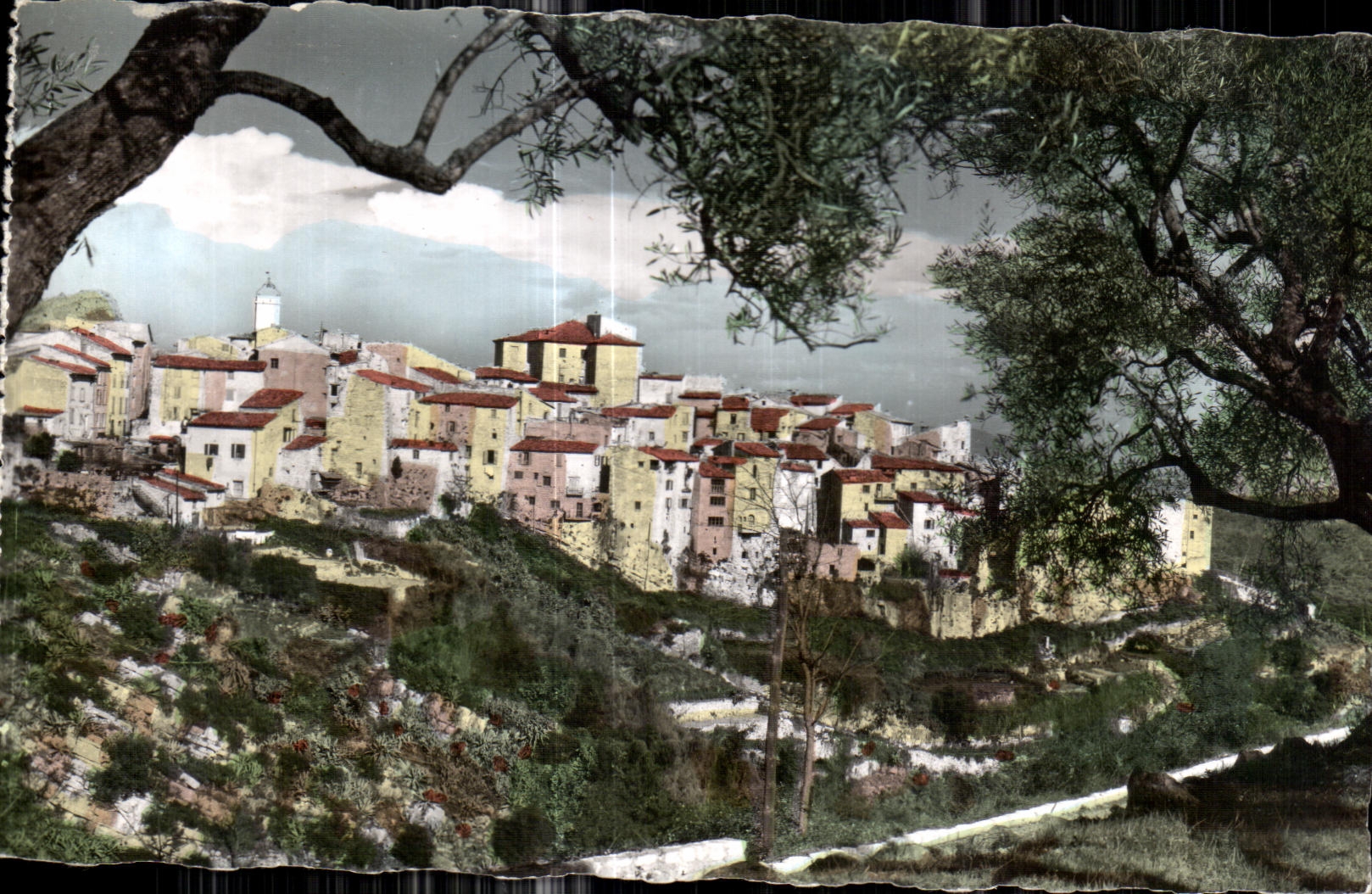 CPA Excursion des Gorges du Loup Tourrettes Sur Loup Vue generale La Cite des Violettes