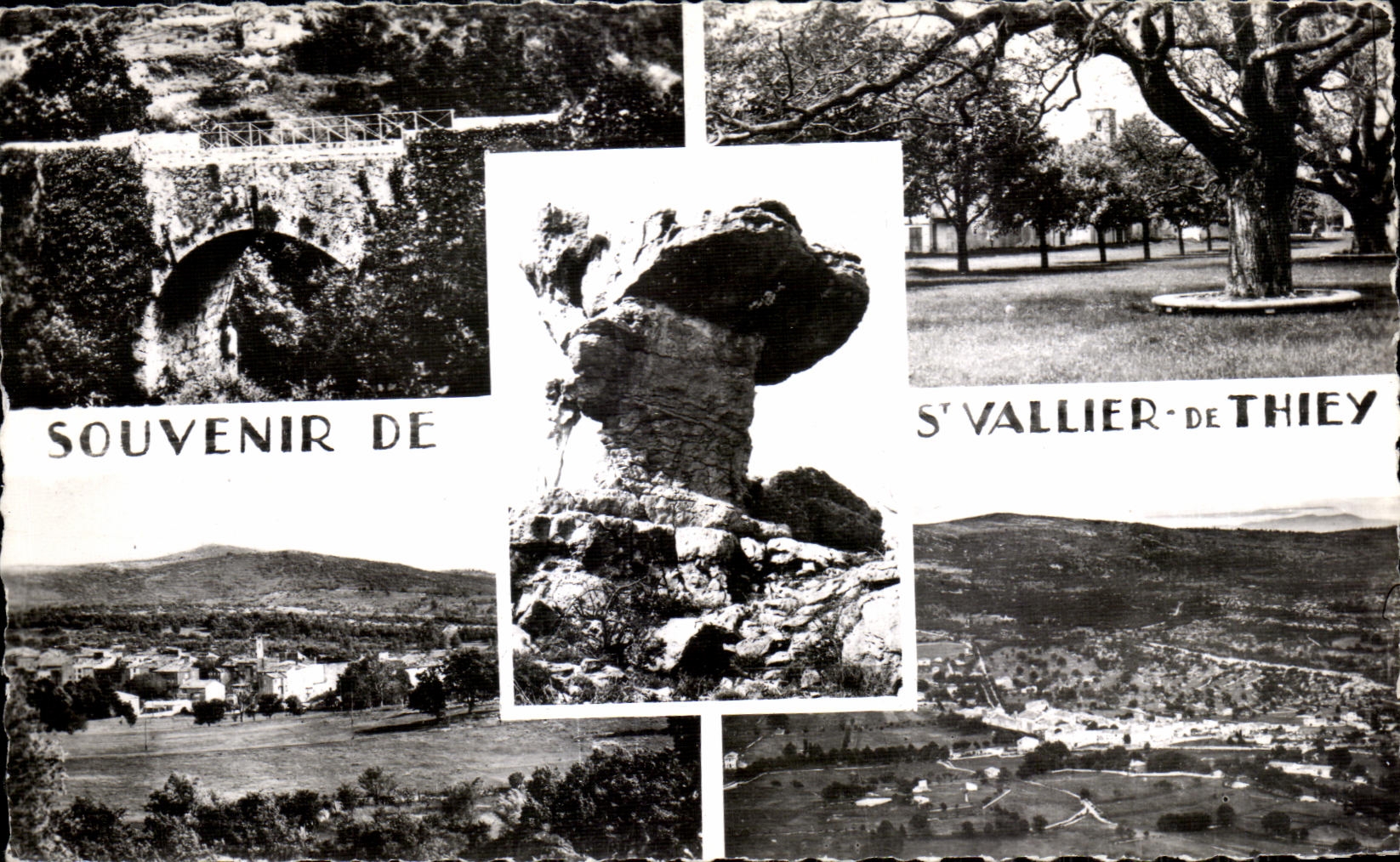 CPSM Souvenir De St Vallier De Thiey