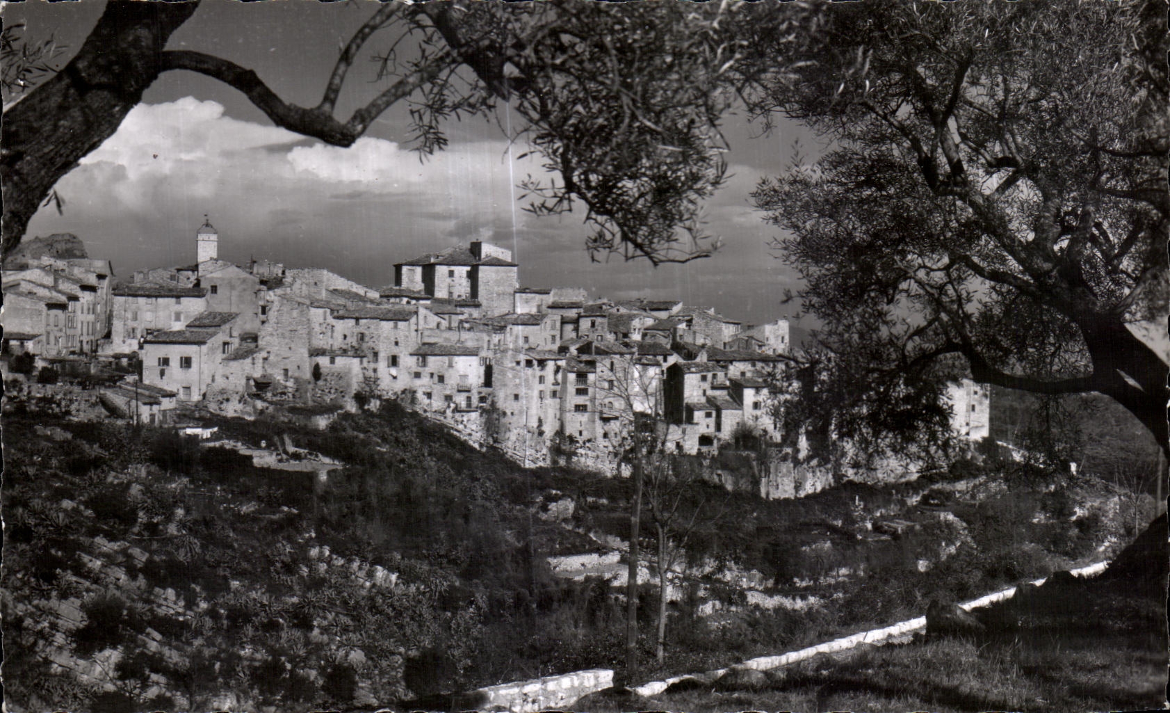 CPA Excursion Des Gorges Du Loup Tourrettes Sur Loup Vue Generale La Cite des Violettes