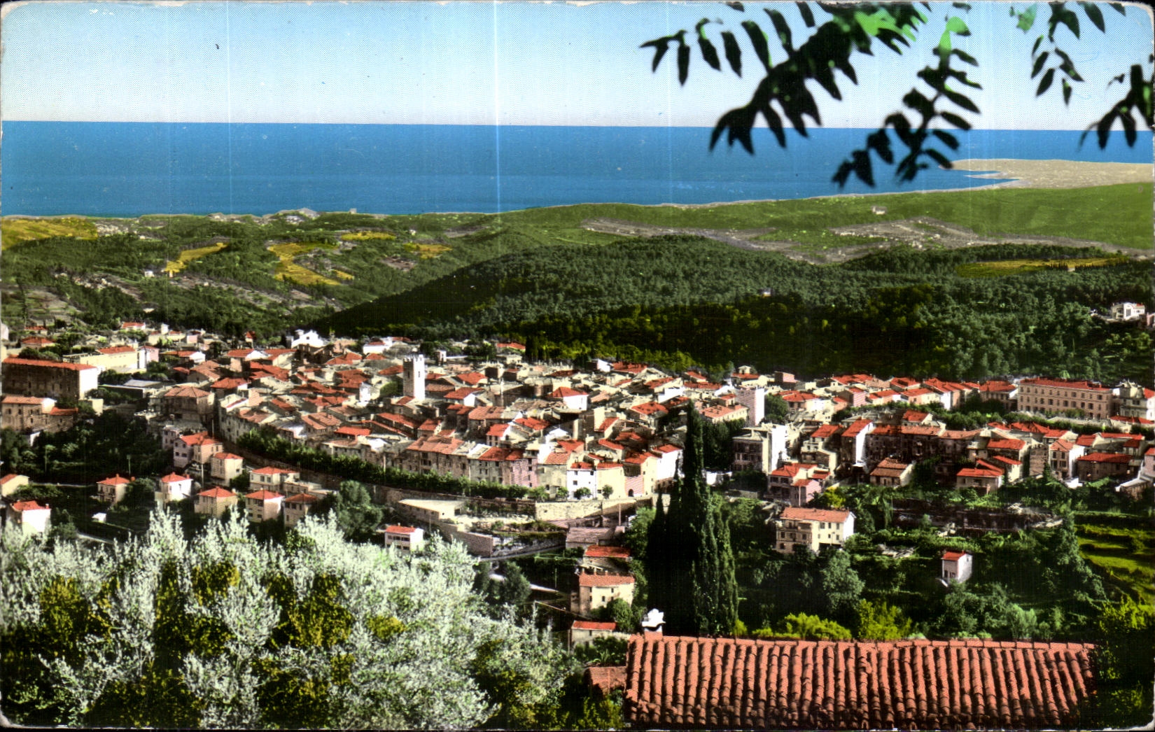 CPA Cote D Azur Vence La Jolie Vue generale au fond