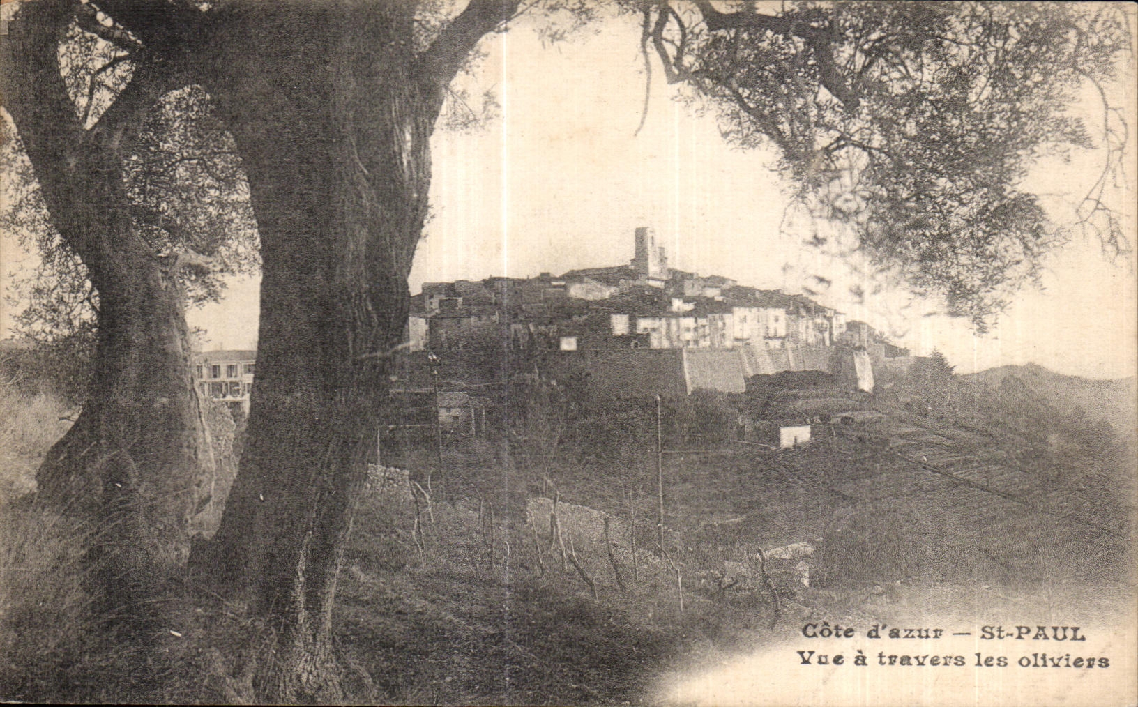CPA Saint Paul Cote d azur Vue a Travers les Ollviers