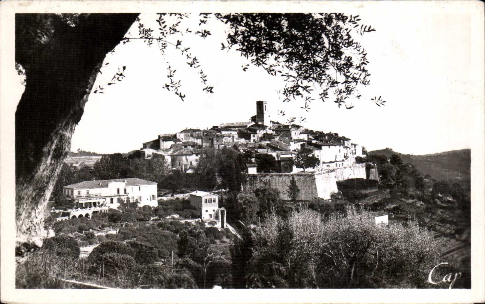 CPA Saint Paul de Vence Vue a travers les Oliviers