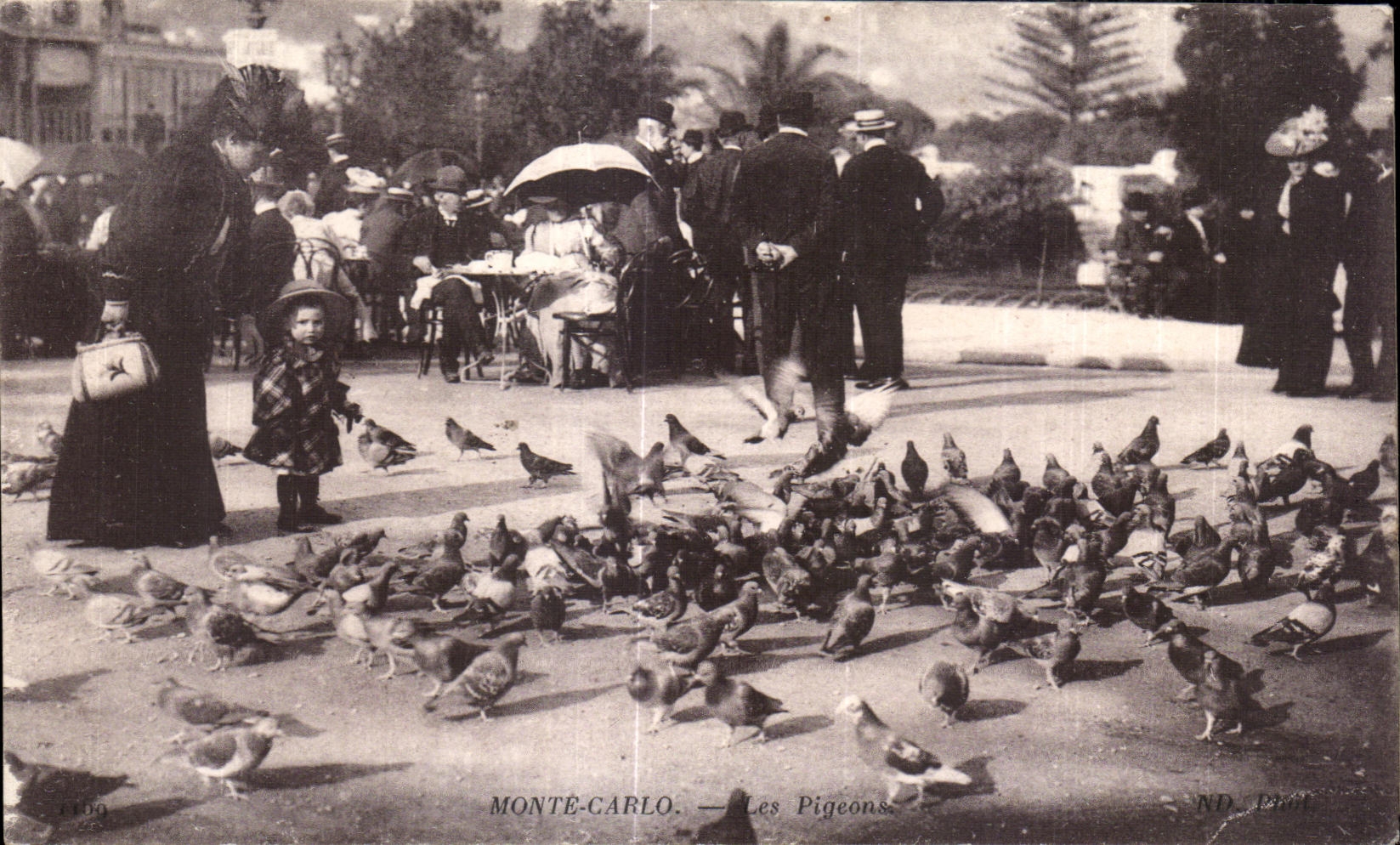 CPA Monte Carlo Les Pigeons Enfant