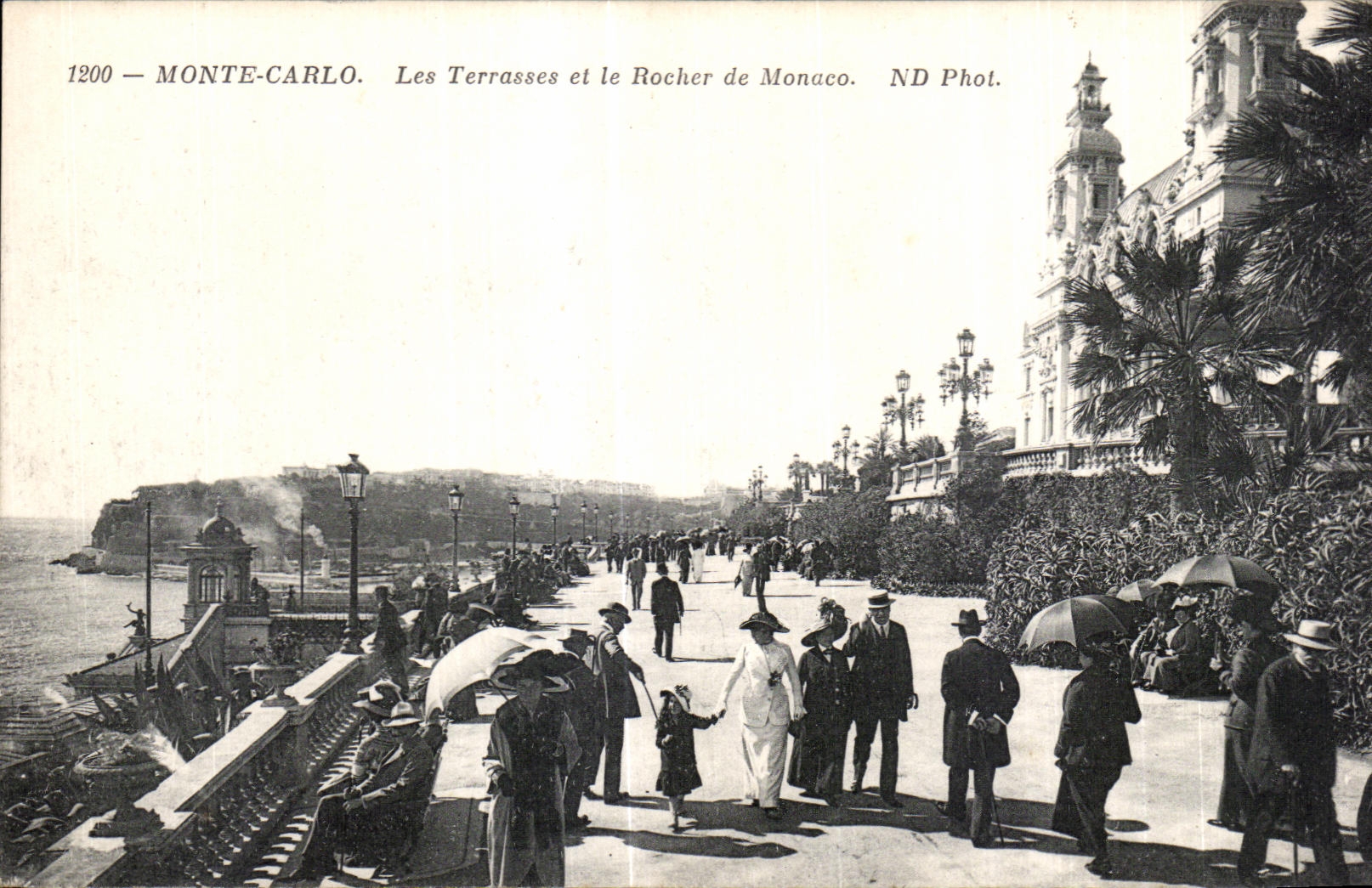 CPA Monte Carlo Les Terrasses et le Rocher de Monaco 