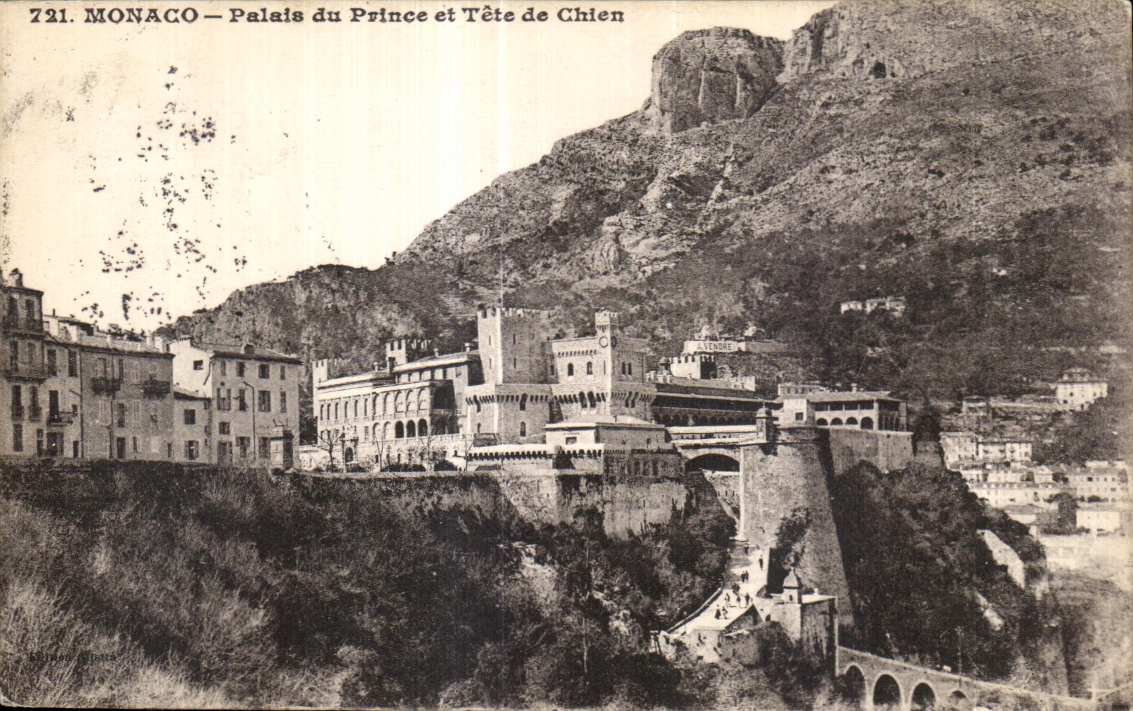 CPA Monaco Palais du Prince et Tete de Chien