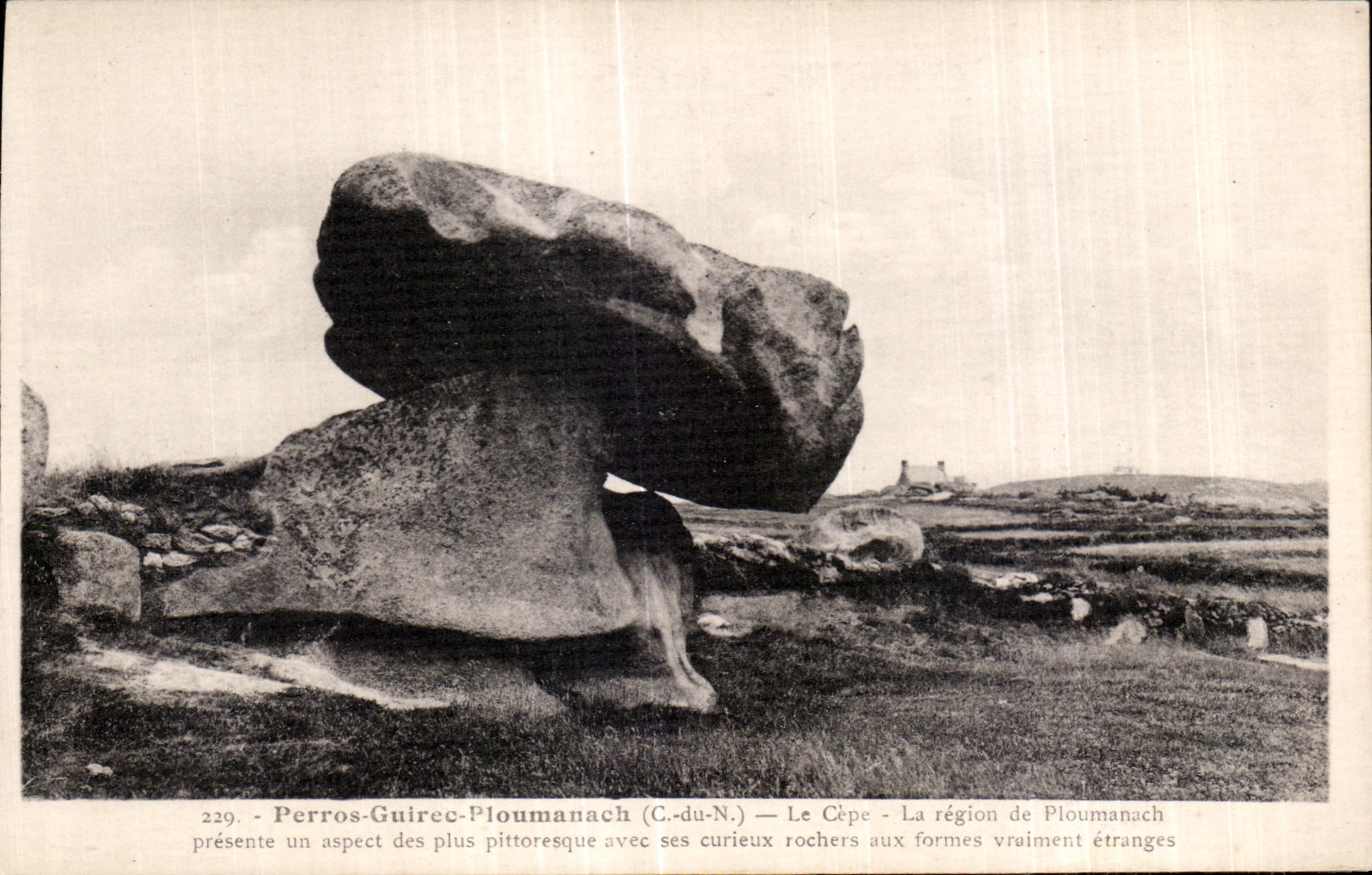 Perros-Guirec-Pioumanach (C.-du-N.) — Le Cèpe — La région de Ploumanach