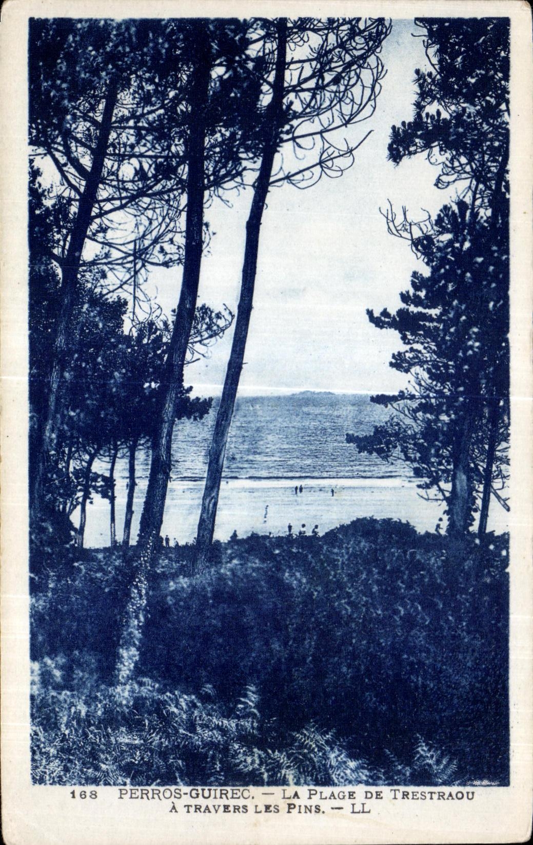Perros-Guirec — La plage de Trestraou à travers les pins — LL n°168