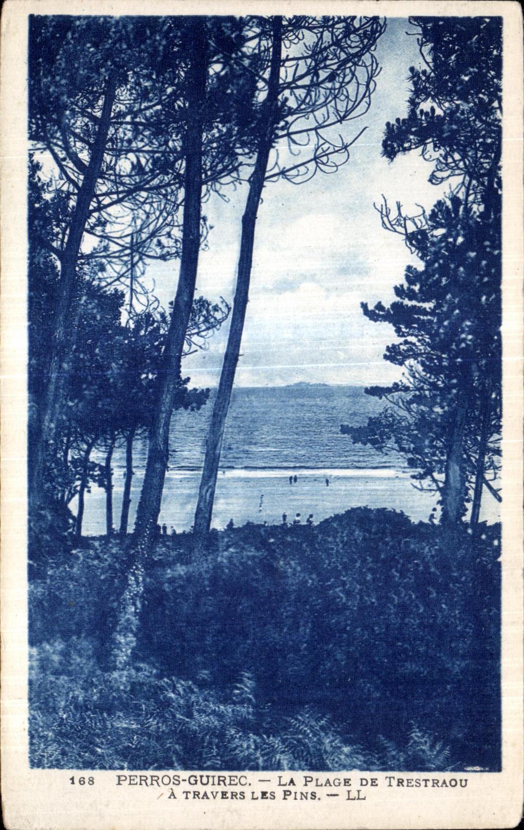 Perros-Guirec — La plage de Trestraou à travers les pins — LL n°168