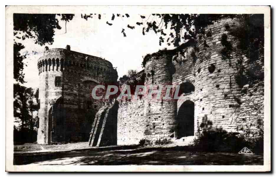 Dinan — Château de la Duchesse Anne et la fausse porte — REAL-PHOTO C.A.P. Paris n°30
