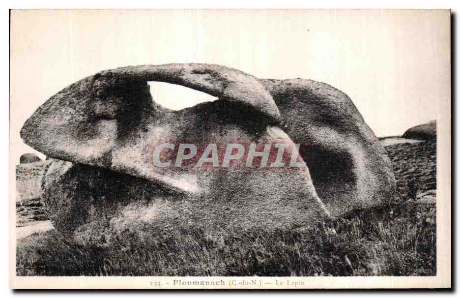 Ploumanach (C.-du-N.) — Le Lapin — n° 234