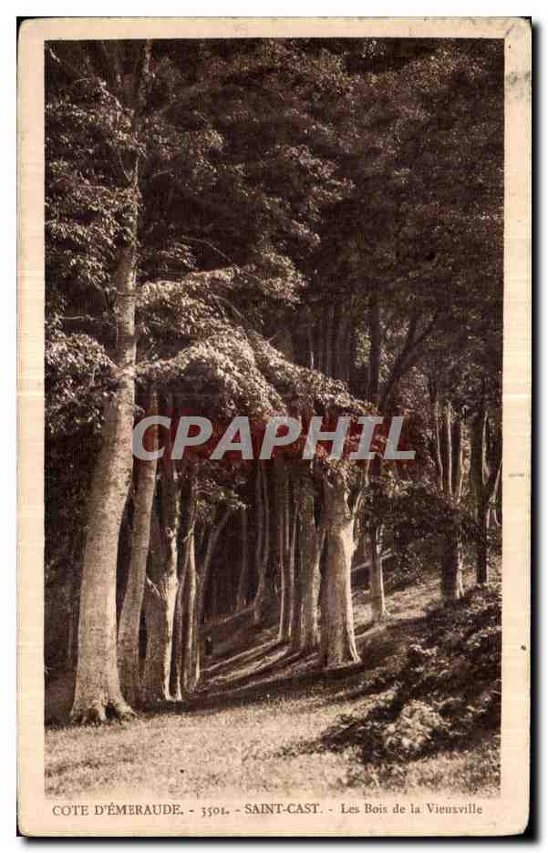 Les Bois de la Vieuxville — Côte d'Émeraude, Saint-Cast — éditeur CPAPHIL, n° 3301