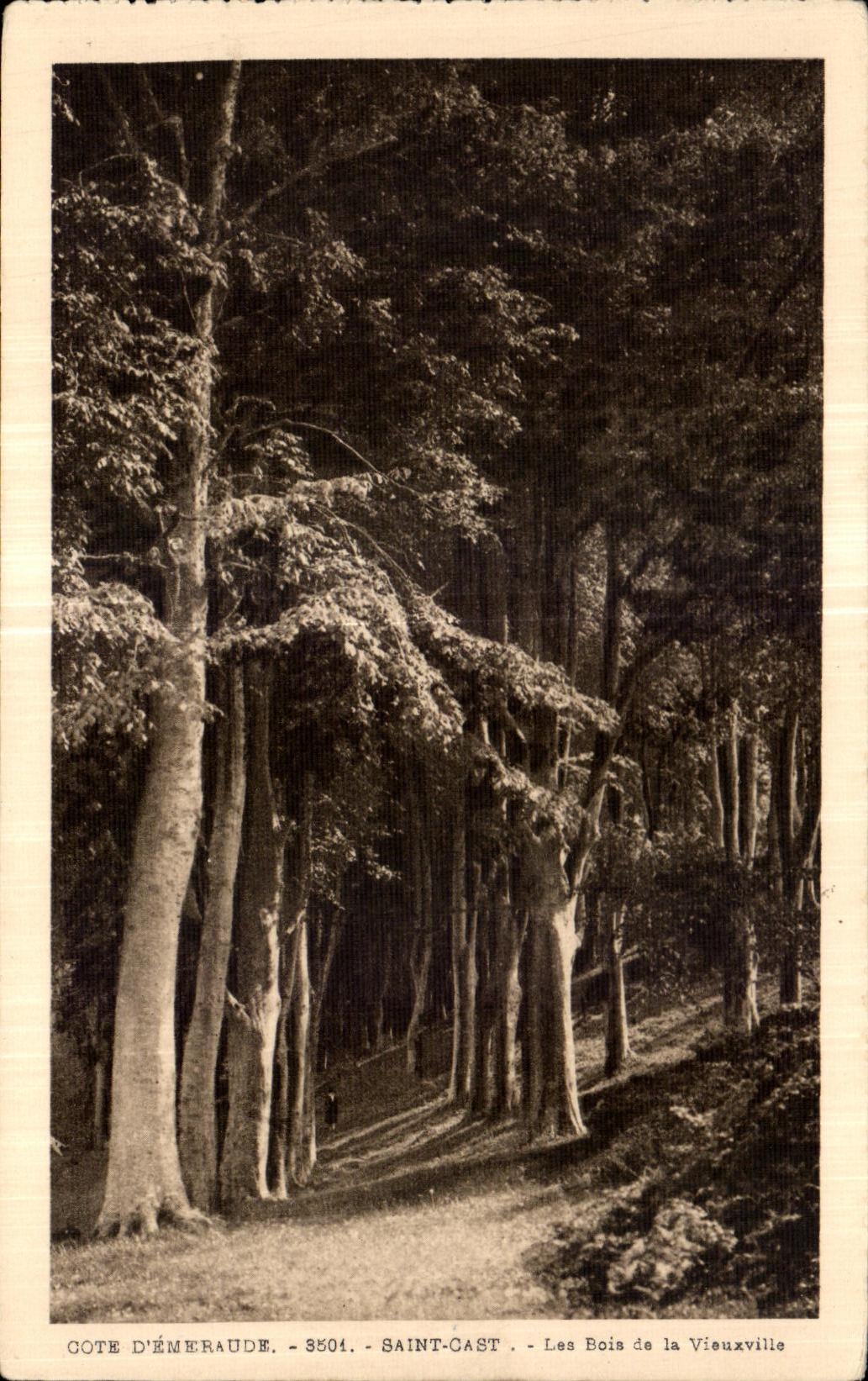 Les Bois de la Vieuxville — Côte d'Émeraude, Saint-Cast — n° 3504