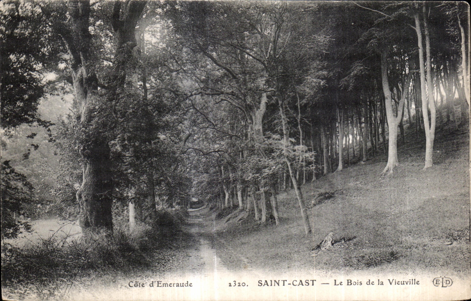 Saint-Cast — Le Bois de la Vieuville — Côte d’Émeraude, n°2320