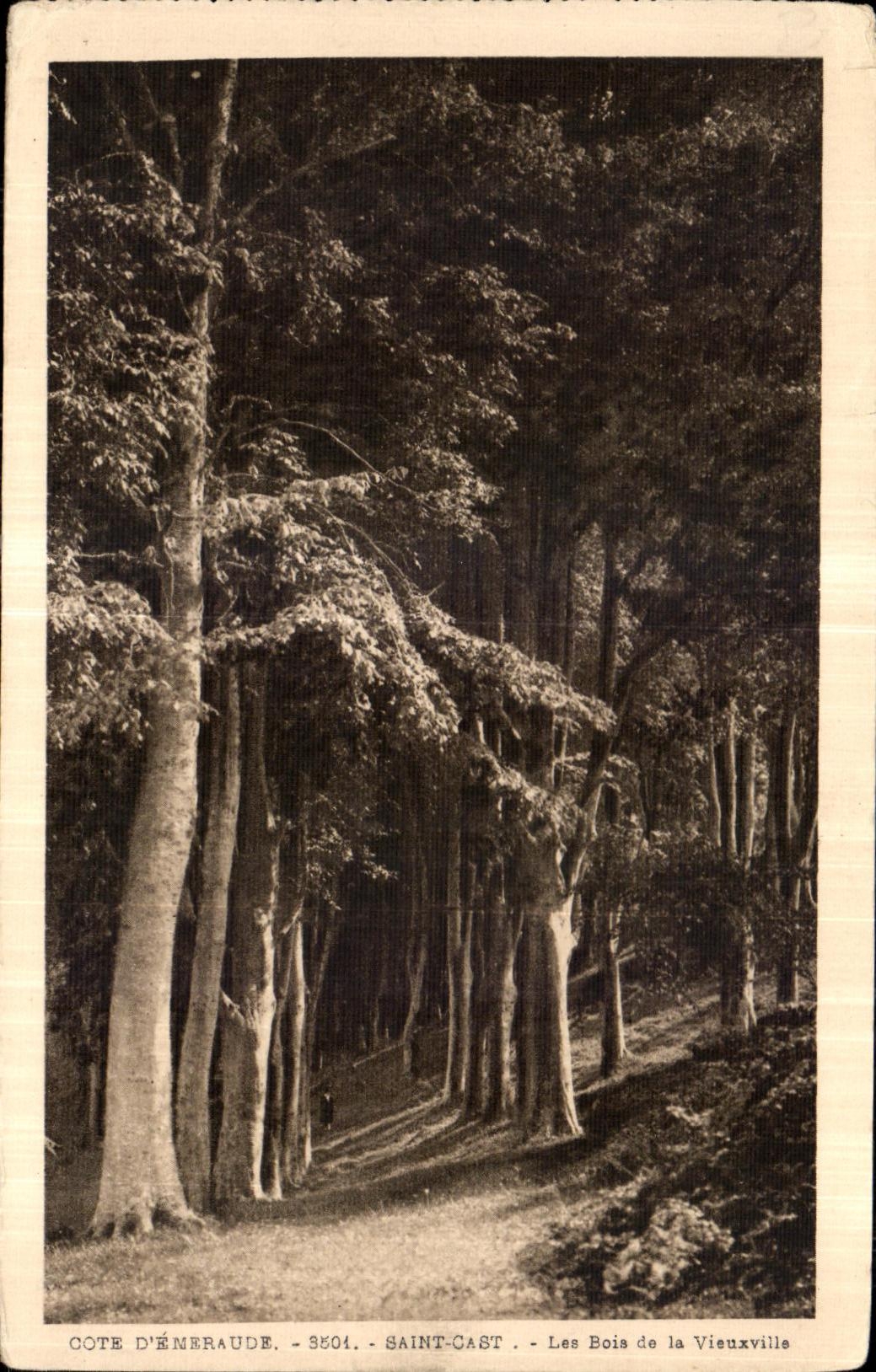CPA Cote D Eneraude Saint Cast Les Bois de la Vieuxville
