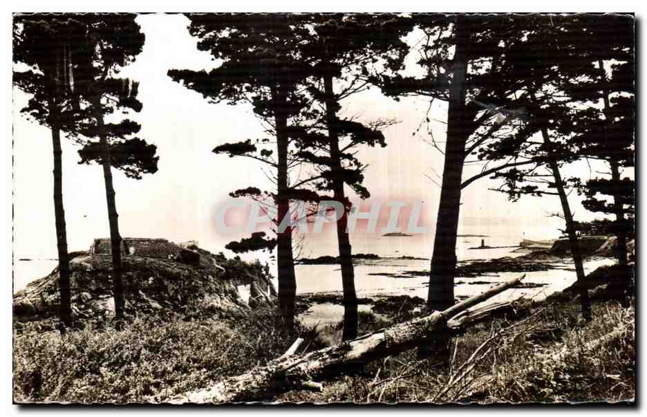 L'Île de la Comtesse — Saint-Quay-Portrieux (Côtes-d'Armor) — Galerie Antérieures