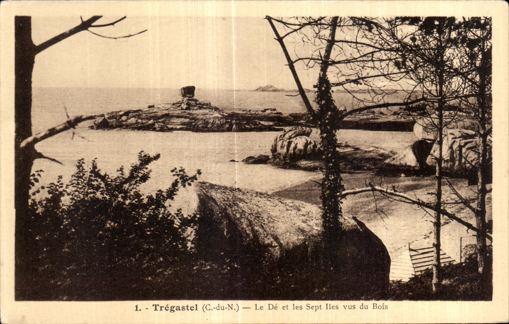 Trégastel (C.-du-N.) — Le Dé et les Sept Îles vus du Bois