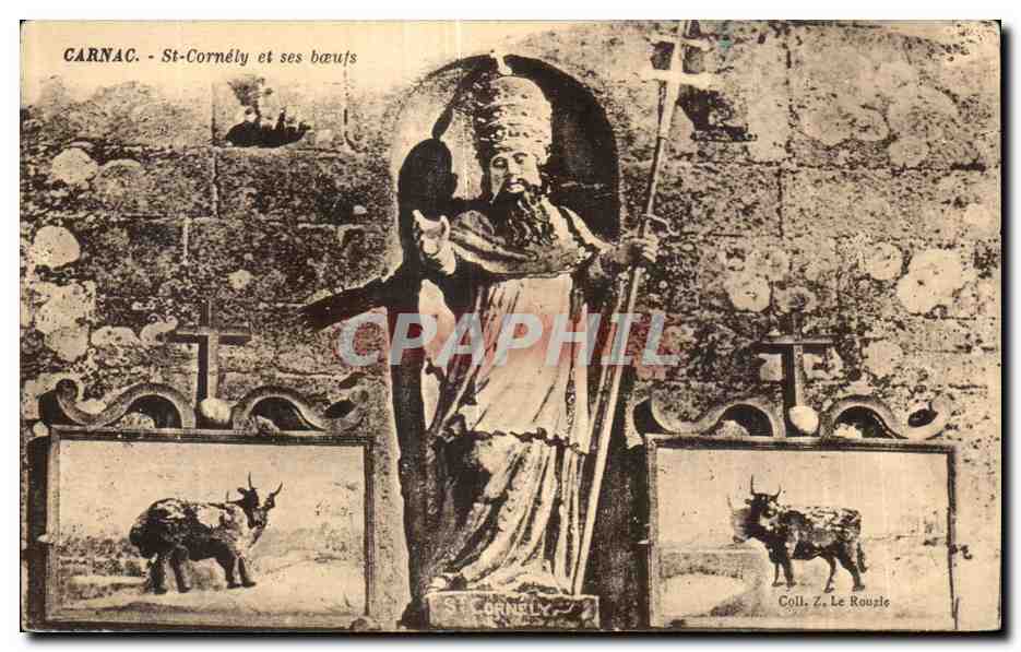 CPA Carnac St Cornely et Ses Boeufs