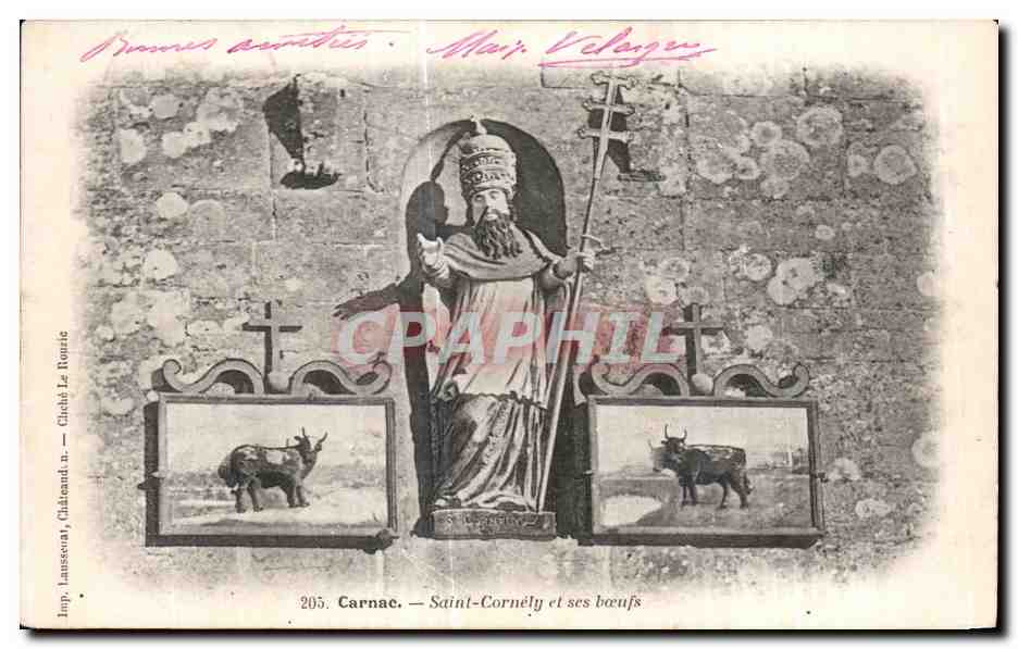 CPA Carnac Saint Cornely et ses Boeufs