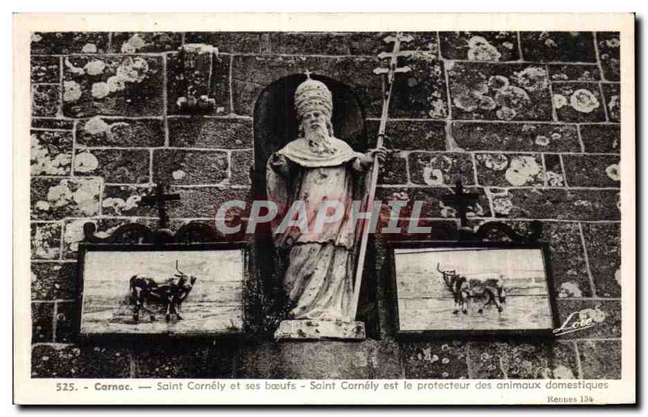 CPA Carnoc Saint Cornely et ses Boeufs Cornely est le Protecteur des
