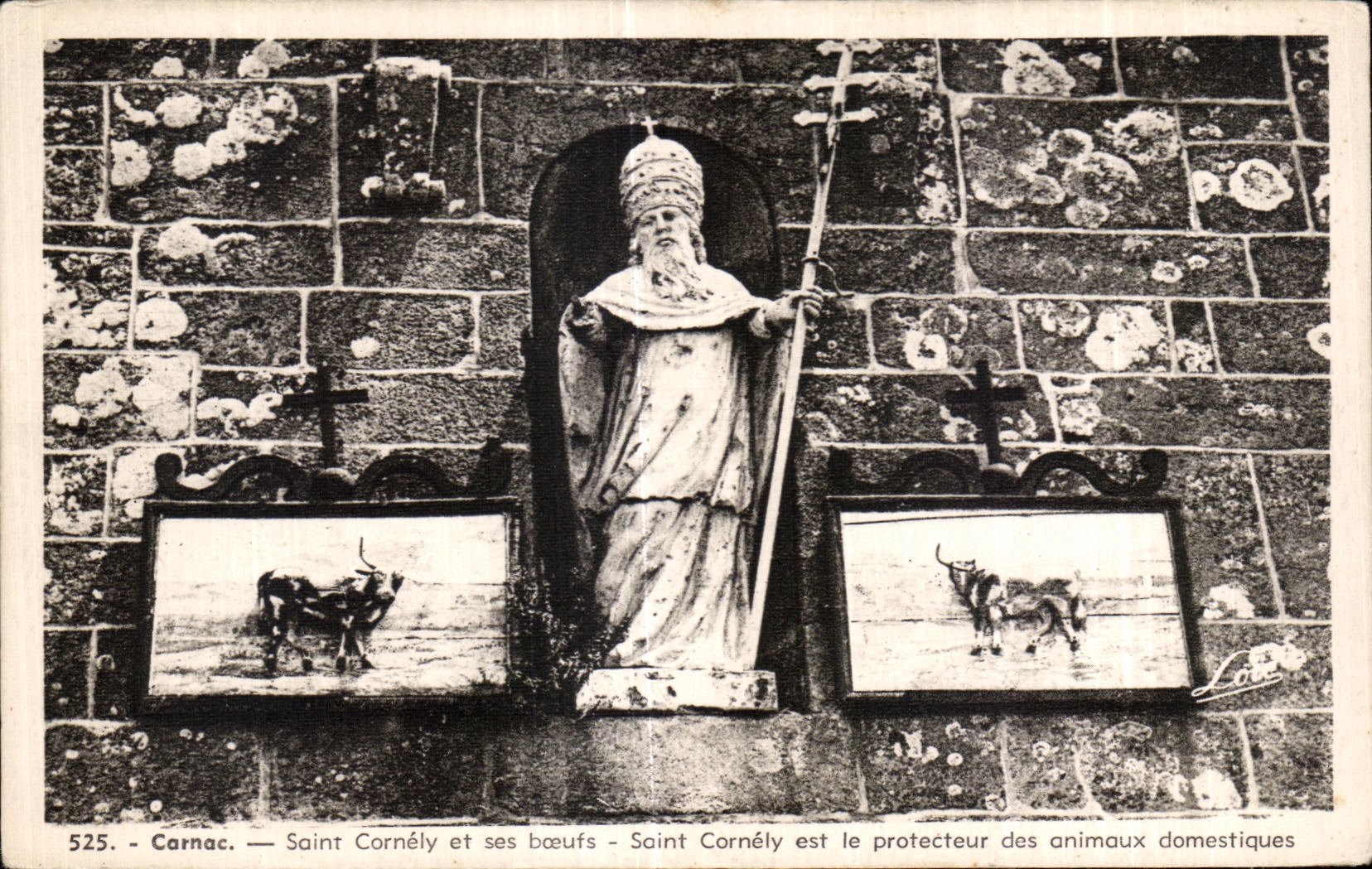 CPA Carnoc Saint Cornely et ses Boeufs Cornely est le Protecteur des