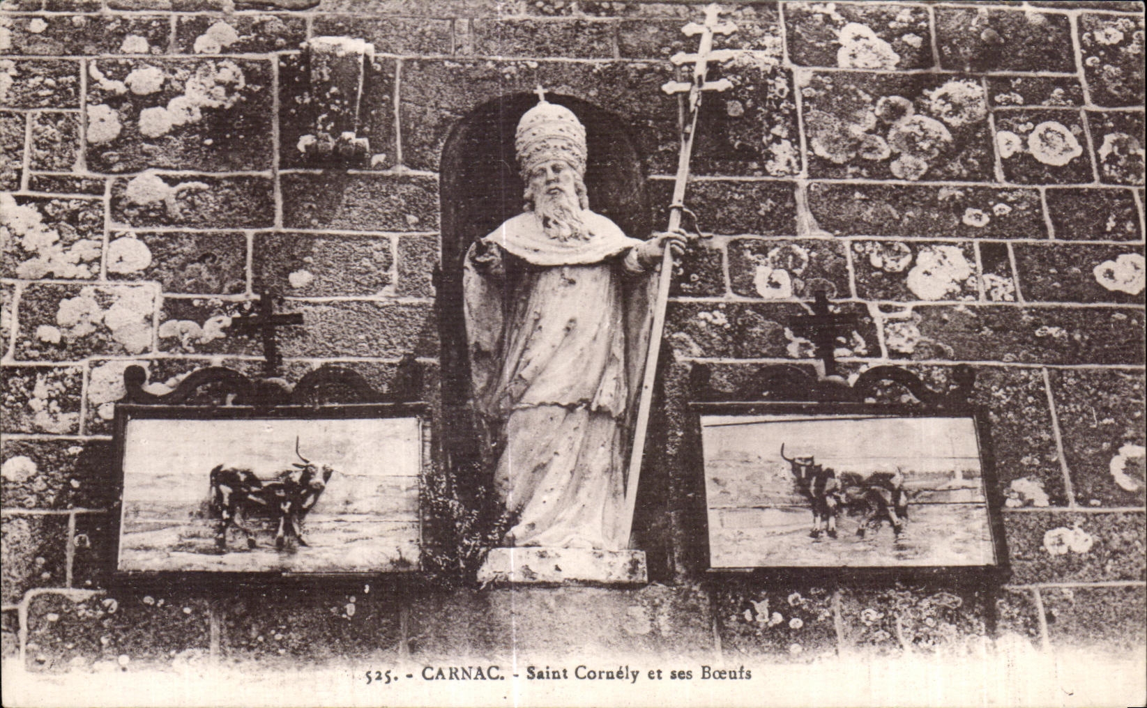CPA Carnac Saint Cornely et ses Boeufs
