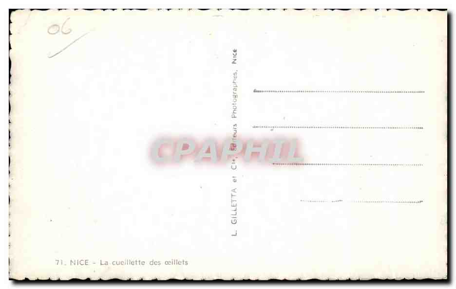 CPA Nice La cueillette des oeillets Foklore Costume — Rückseite