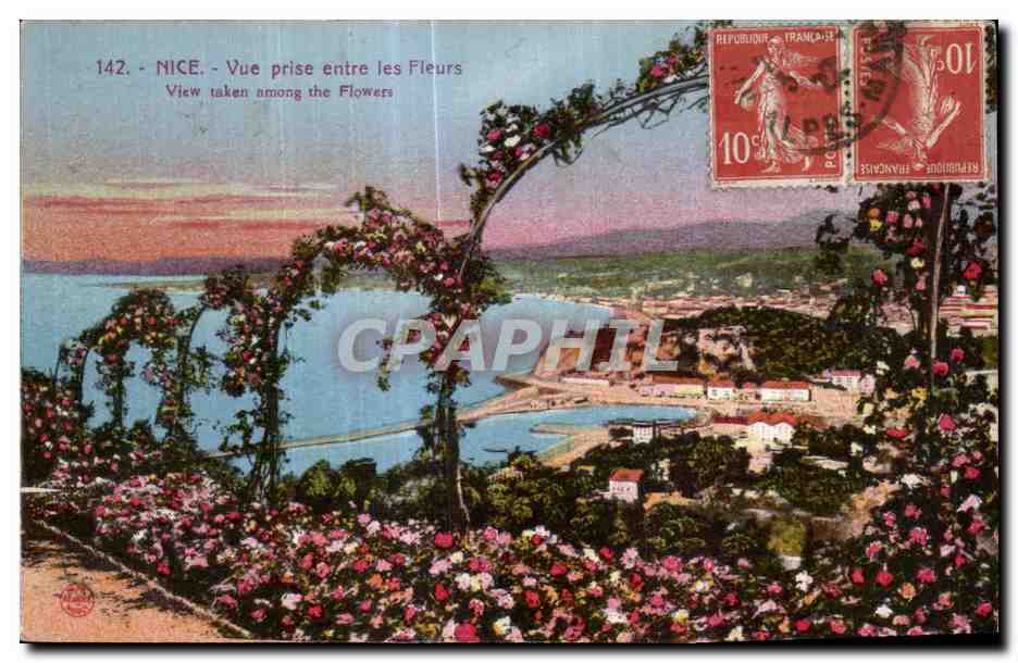 CPA Nice Vue prise entre les Fleurs View taken among the 