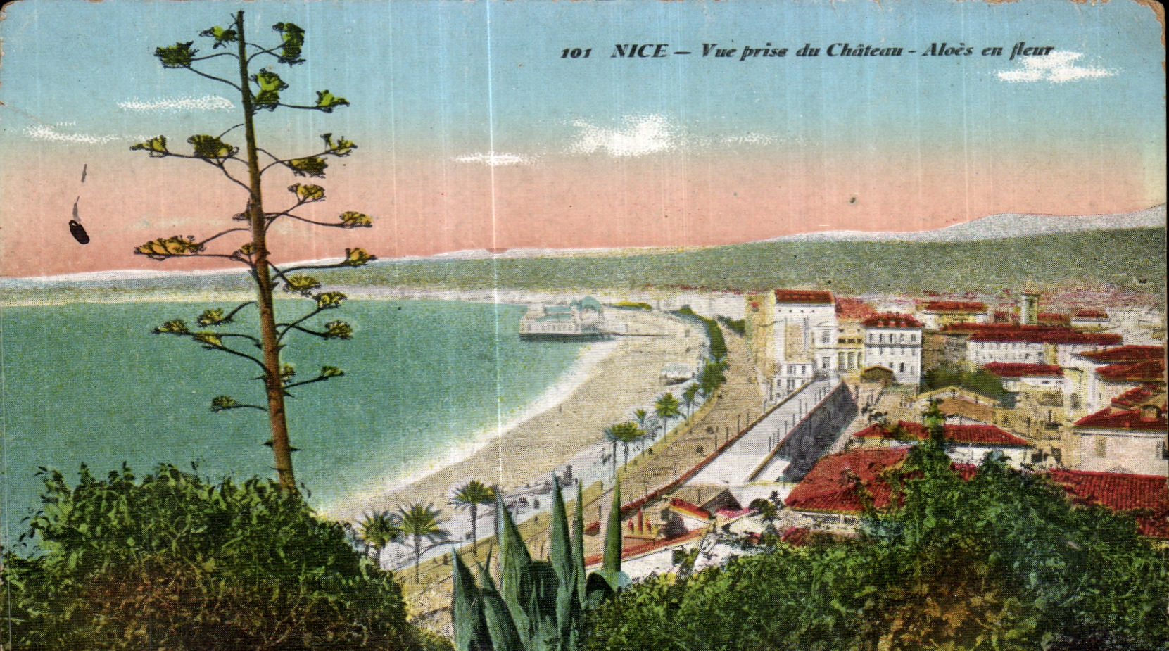 CPA Nice Vue prise du Chateau Aloes du fleur
