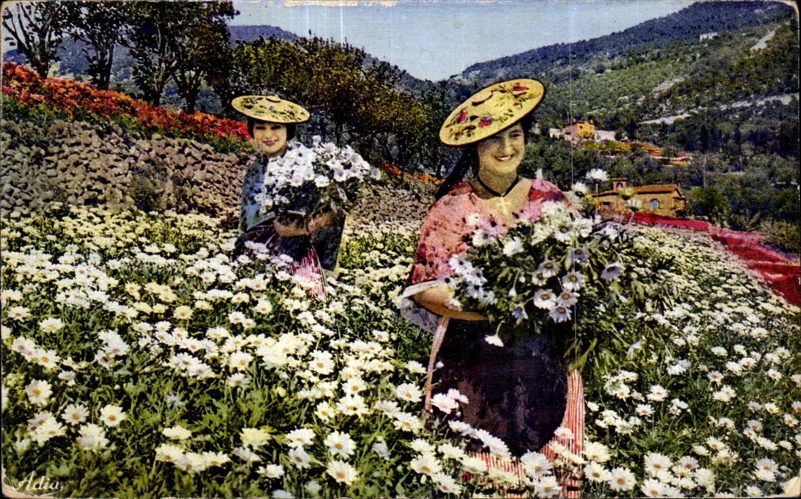 CPA La Cote d Azur Cueillete des marguerites Folklore Costume