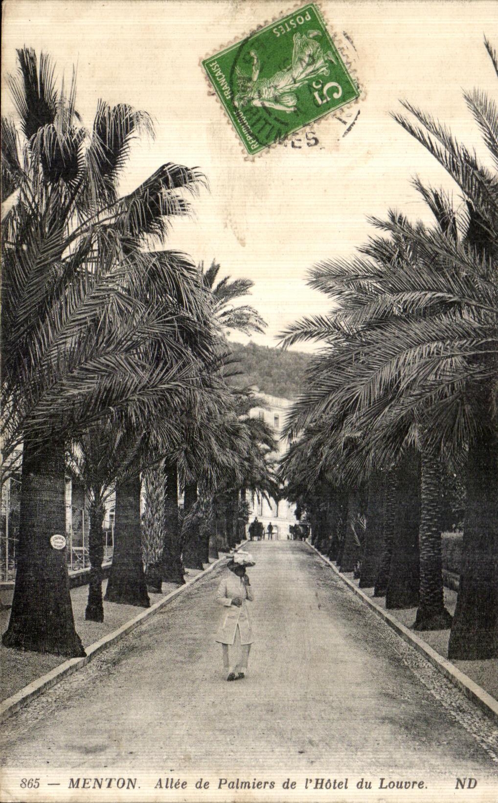 CPA Menton Allee de Palmiers de I Hotel du Loure