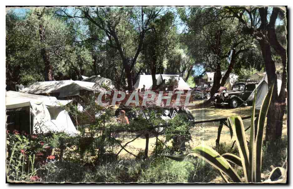 Camping Municipal du Plateau Saint-Michel — Menton — Les Éditions « MAR »