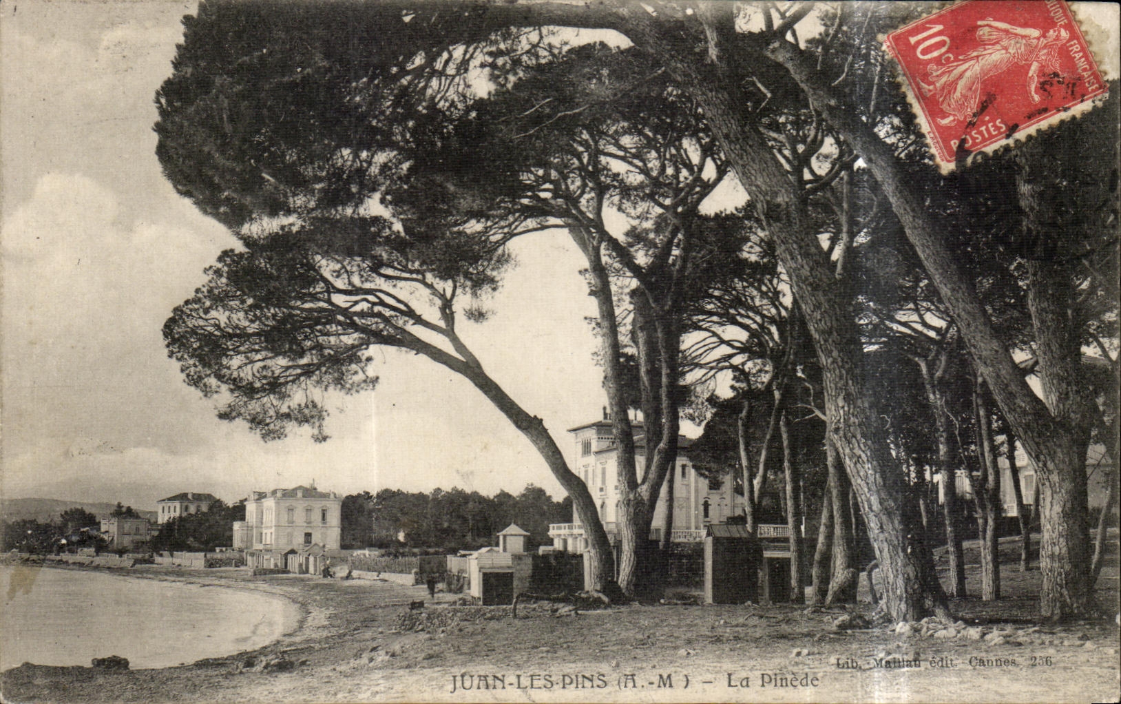 CPA Juan Les Pins Vue La Pinede