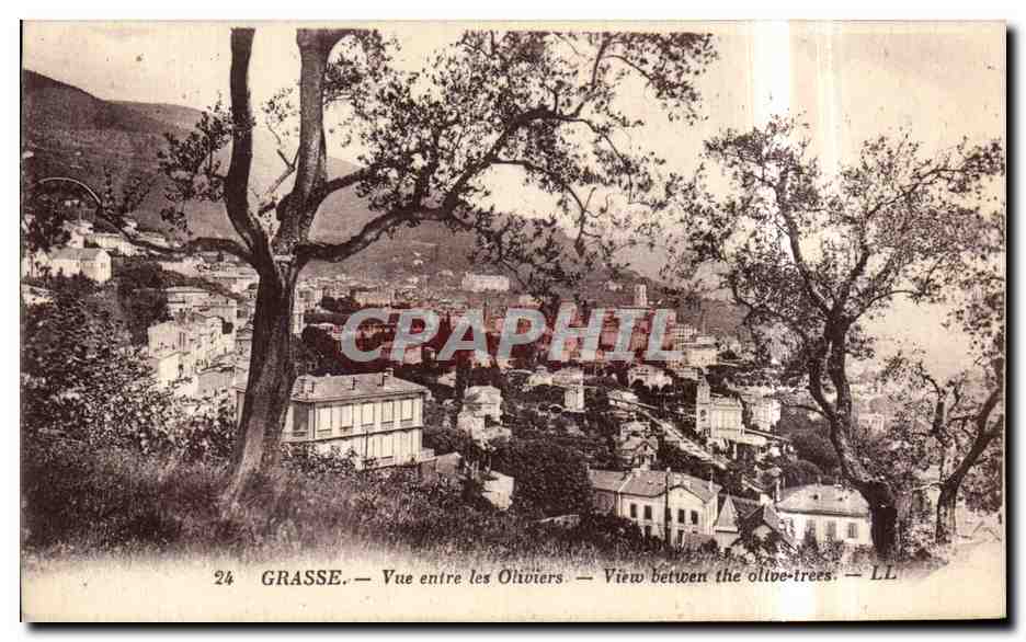 CPA Grasse Vue entree les Oliviers