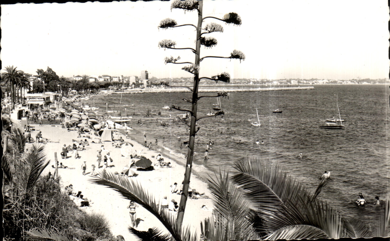CPA La Cote D Azur Golfe Juan La Plage