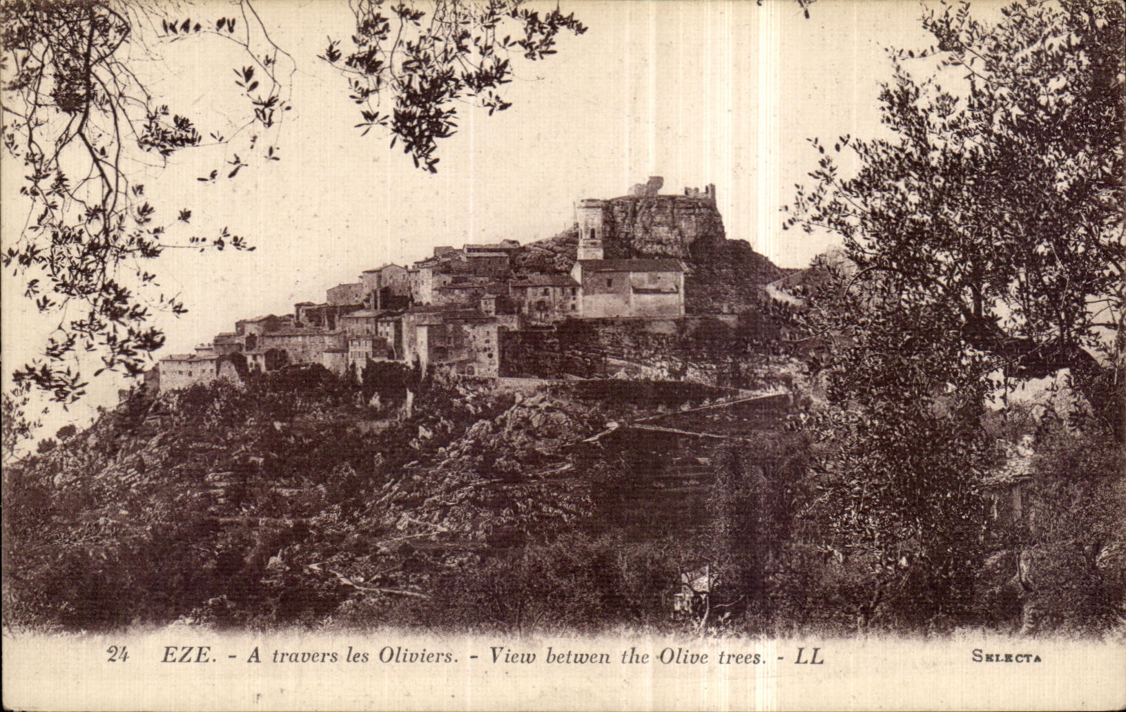 CPA Eze A travers les Oliviers 