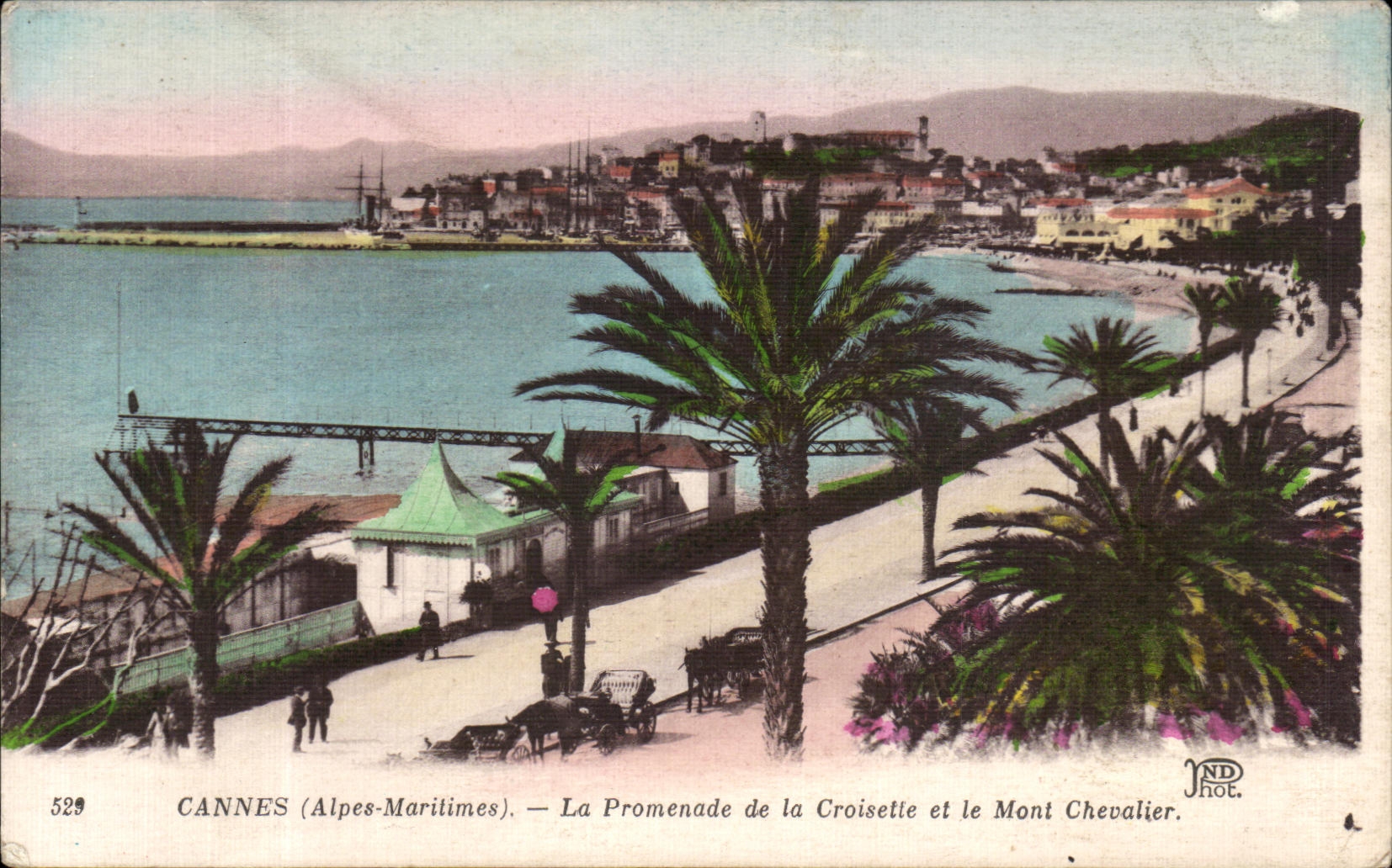 CPA Canees La Promenade de la Croisette et le Mont Chevalier