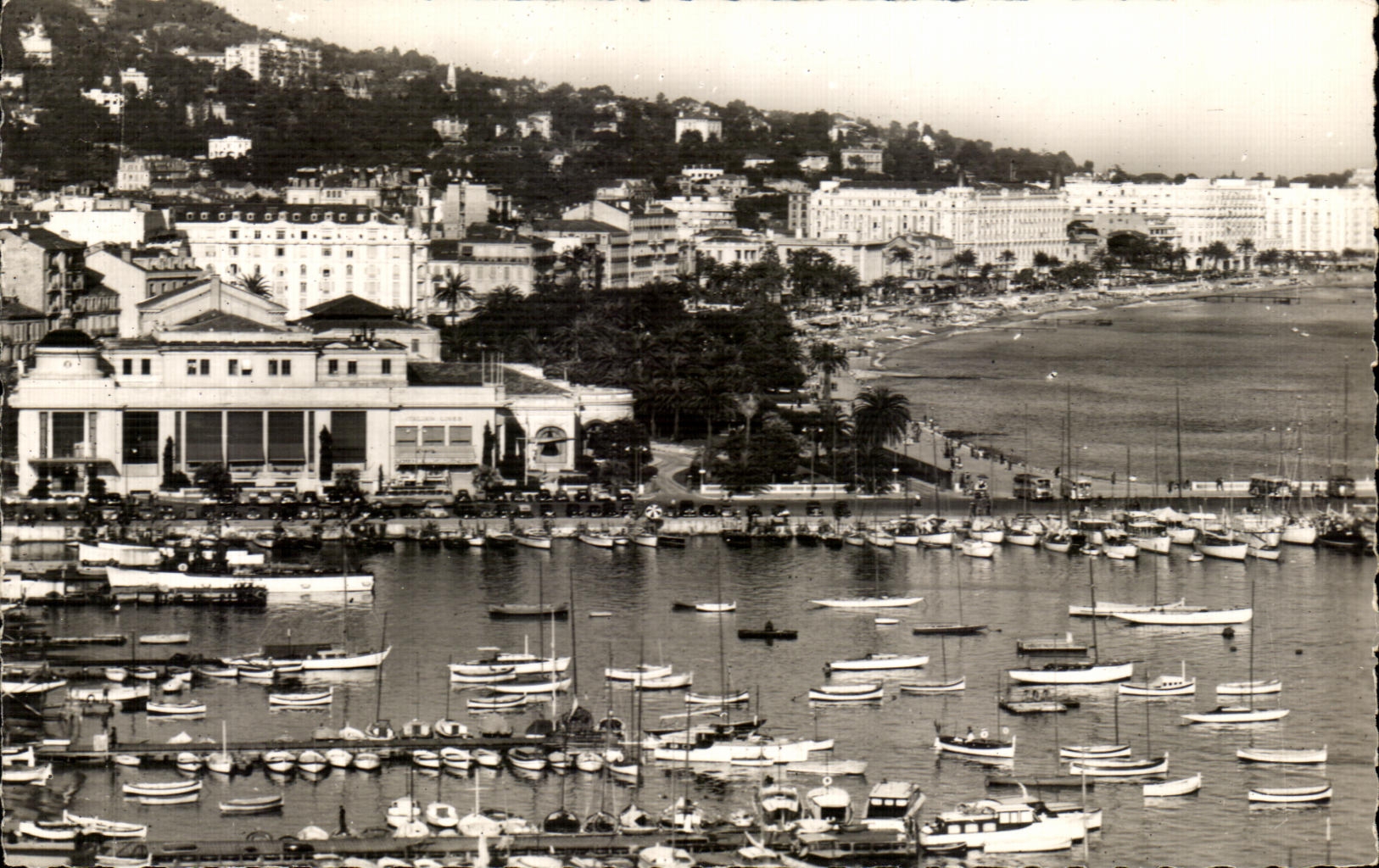 CPA La Cote D Azur Cannes Le Port et la Croisette
