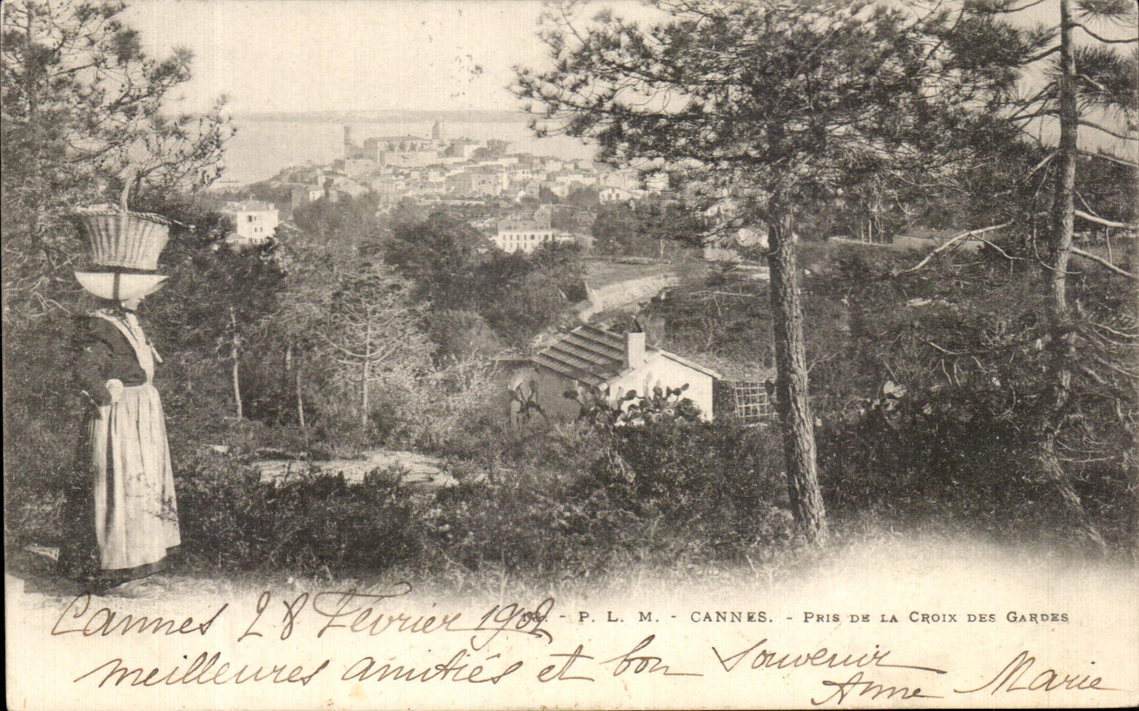 Cannes — Vue de la Croix des Gardes — P. L. M. — N° 10