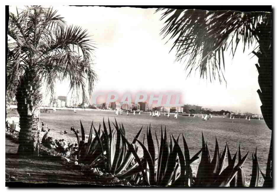 CPA Cote D Azur Cannes Les Regates