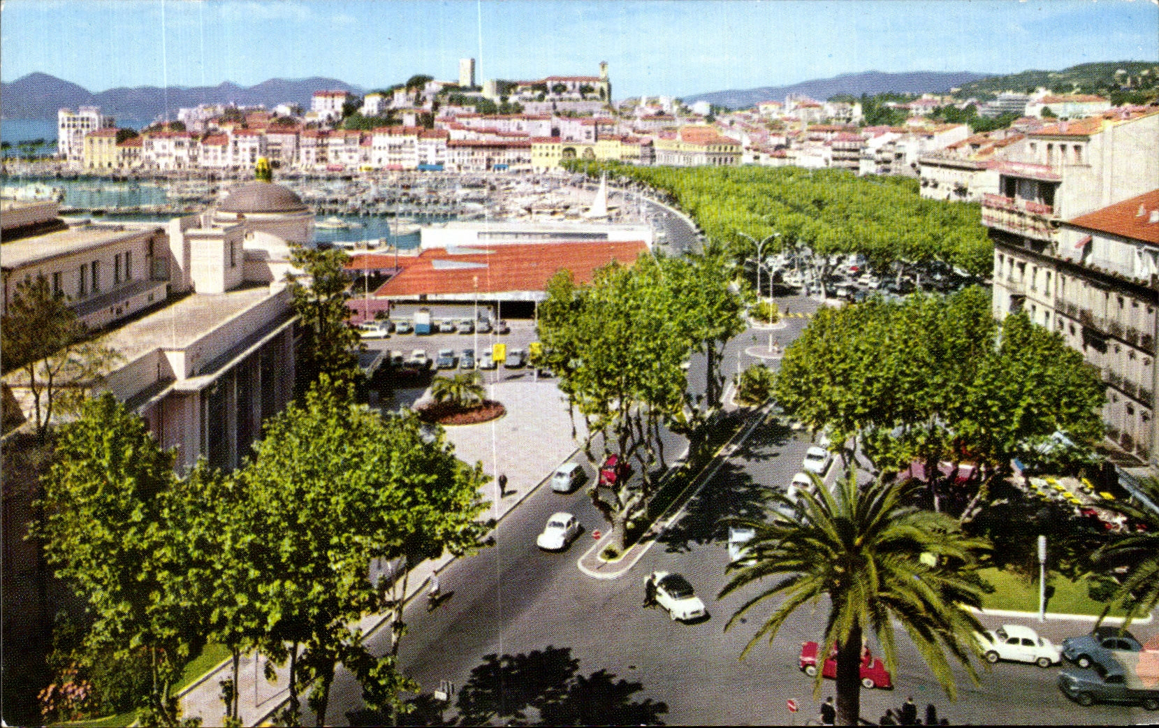 CPA Cannes Vue generale de Suquet et un coin du Port