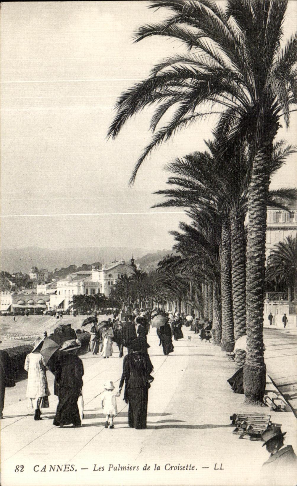 CPA Cannes Les Palmiers de la Croisette