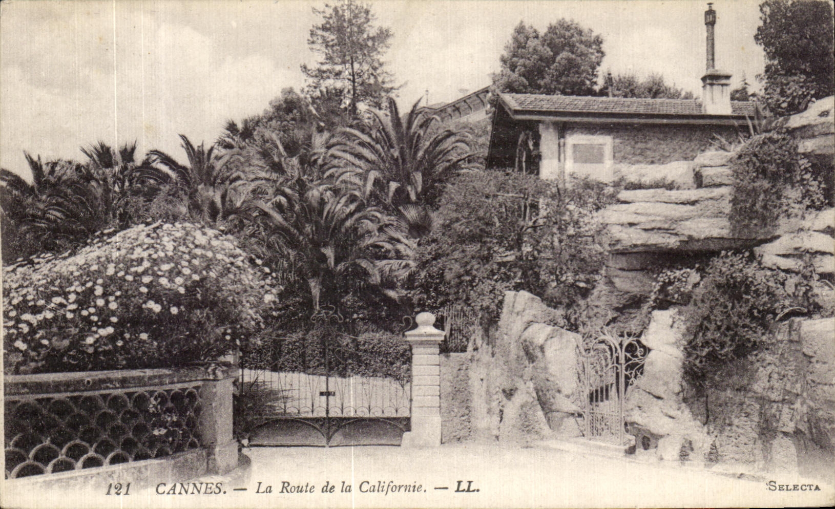 CPA Cannes La Route de la Californie