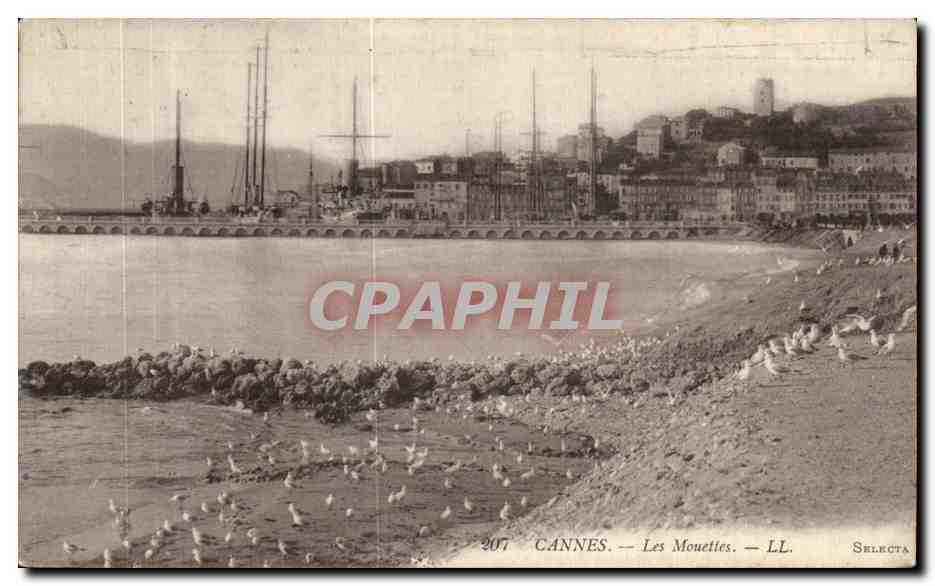 CPA Cannes Les Mouttes