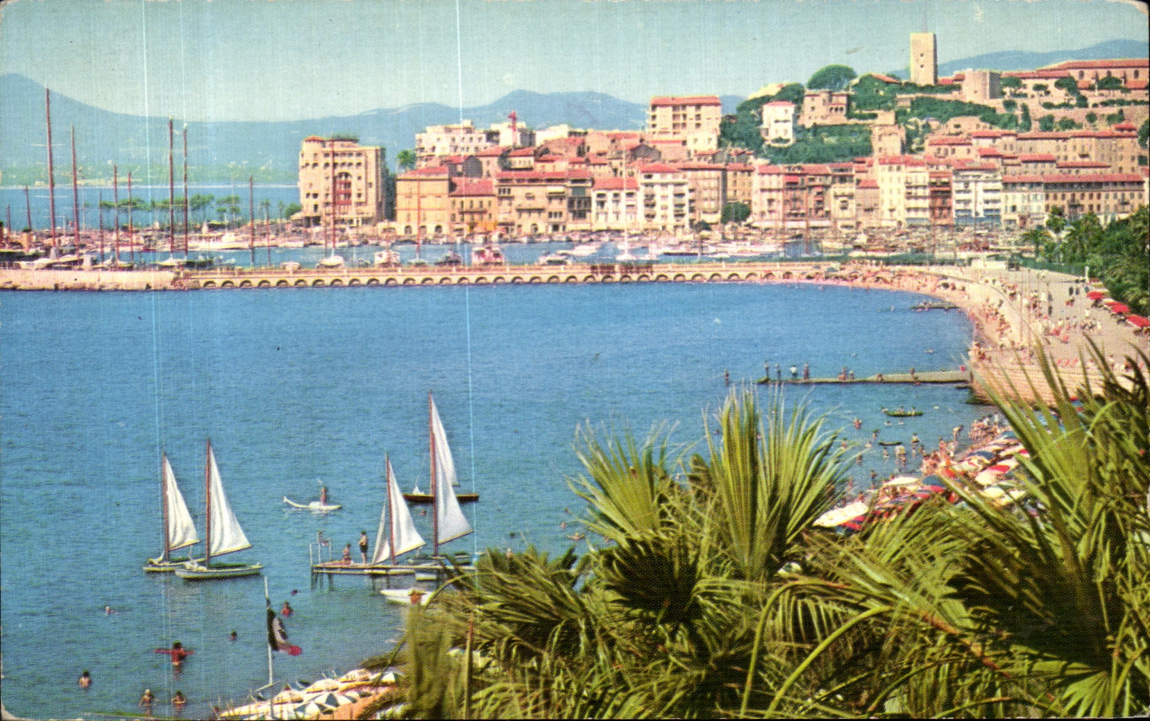 CPA Cannes Le Quai Saint Pierre et le Suquet
