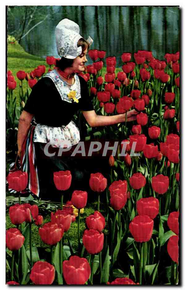CPA Holland in Bloementooi Holland Holland in decoration La Hollande en Parure des Fleurs Holland in Blumenschmuk