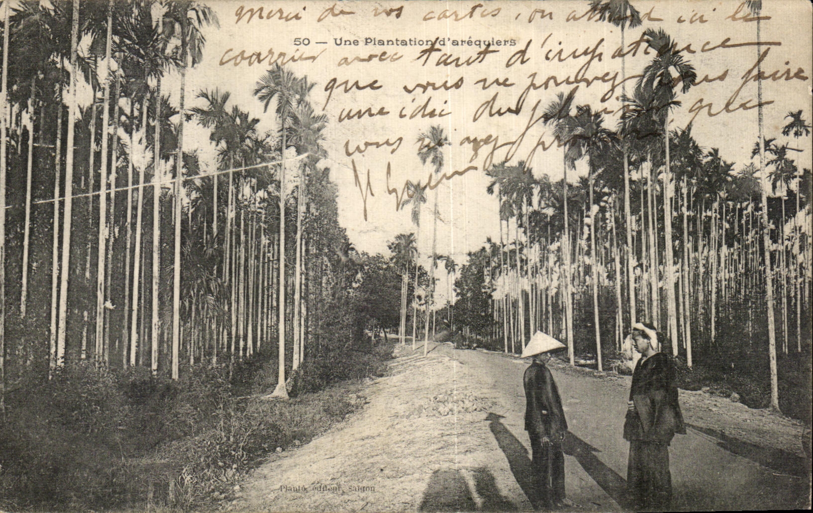 Plantation d'aréquiers — Coarrain — Planta édition, Saïgon