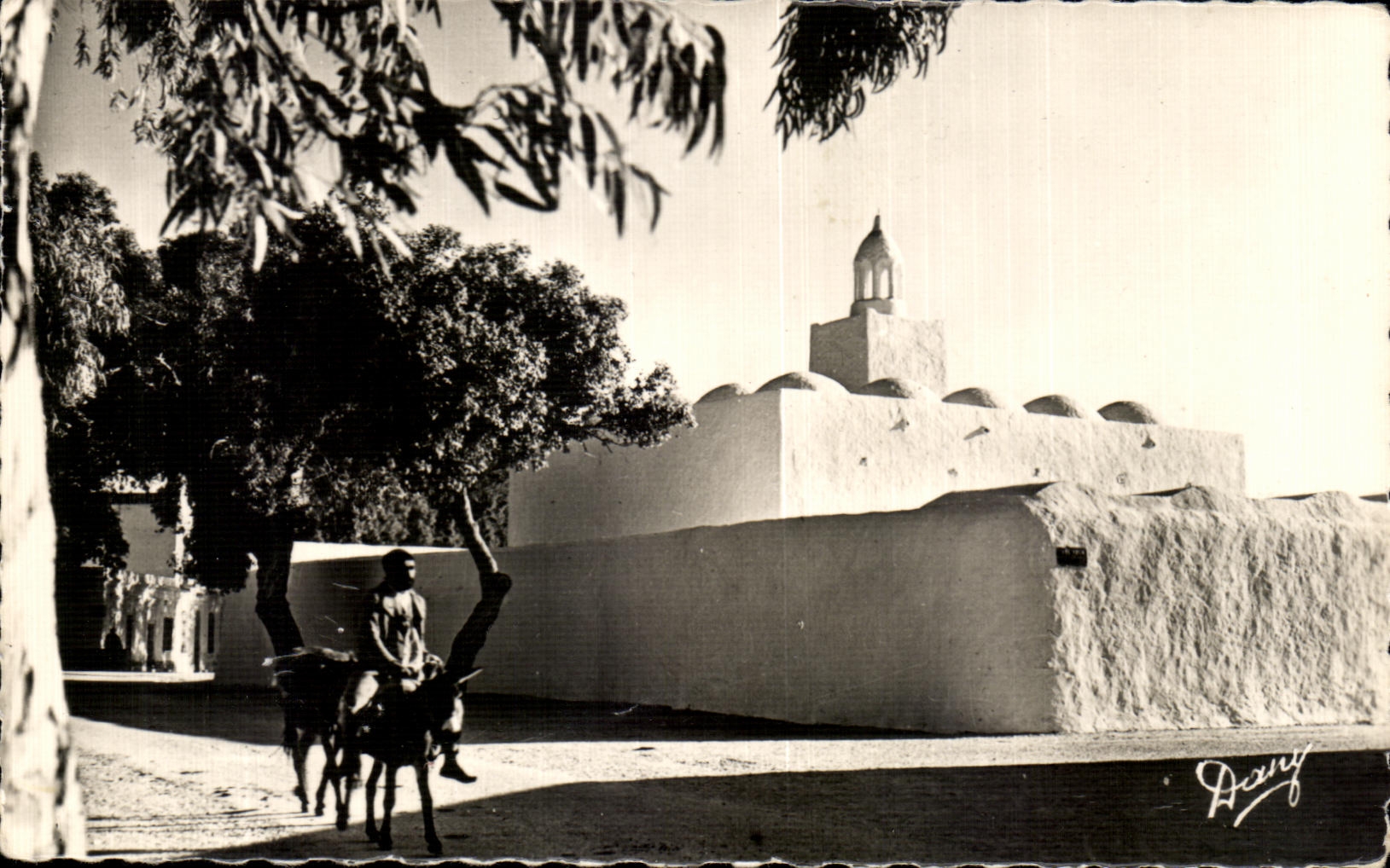 CPA Ile De Djerba Un coin d Houmt Souk Ane Donkey