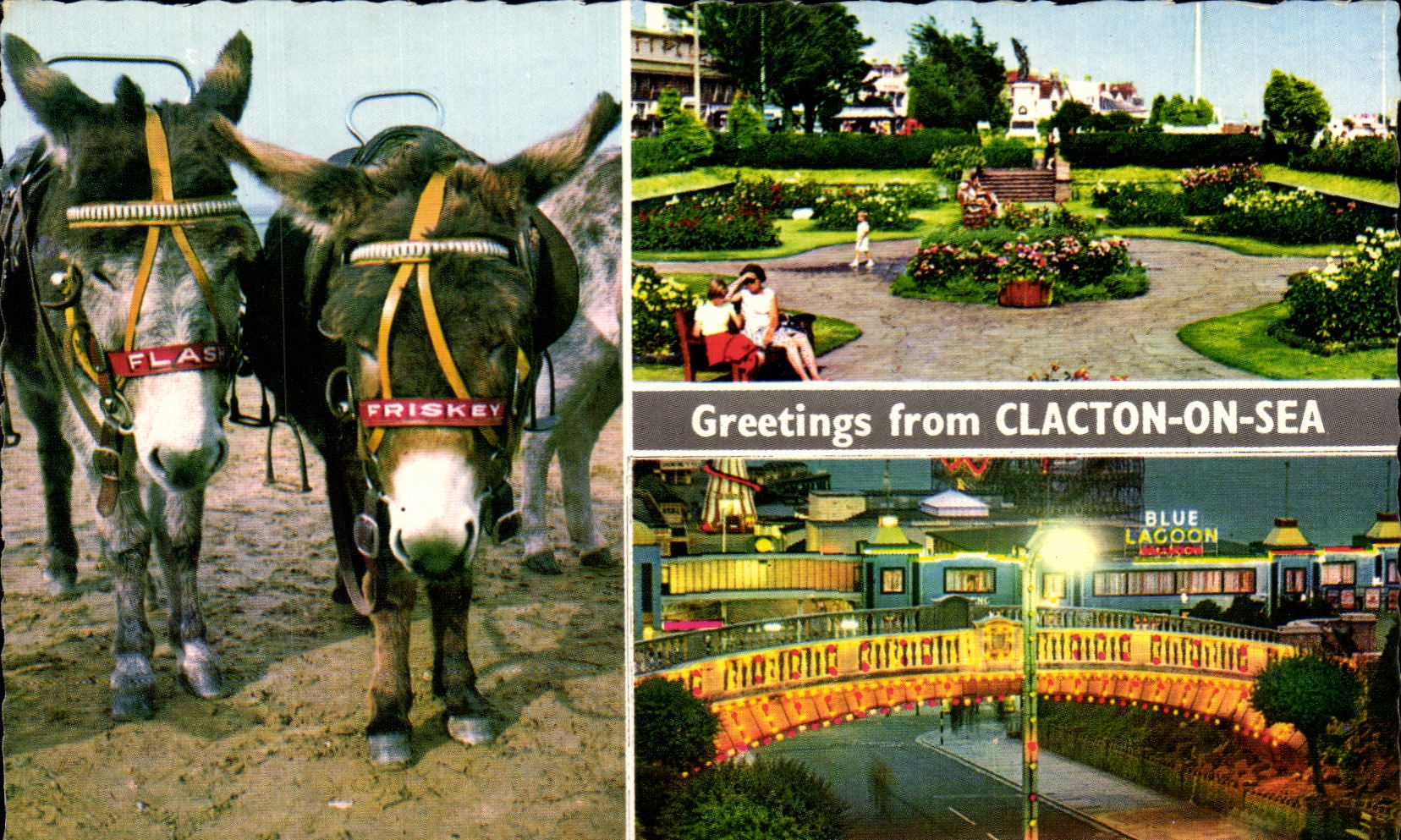 CPA Greetings From Clacton On Sea Beach Donkeys The Sunken Gardens The Venetian Bridge by Night