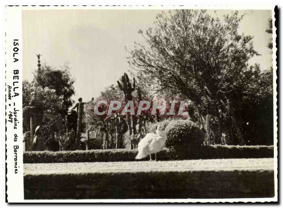 CPA Isola Bella Jardins des Borromees Annee 1957